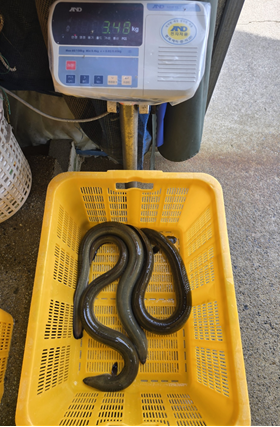 민물자연수산 이미지