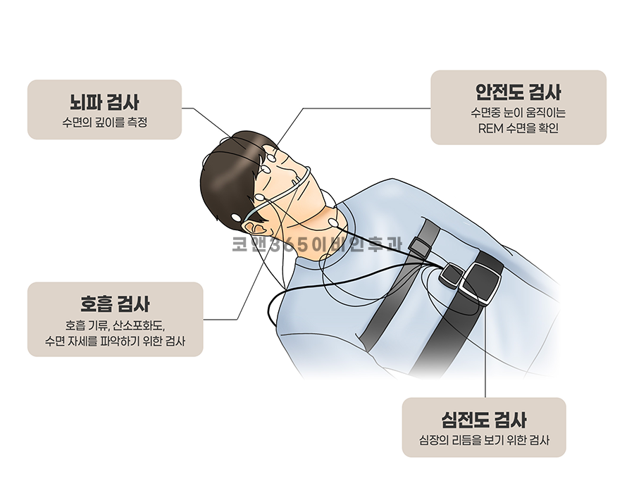 양주종합산소 이미지