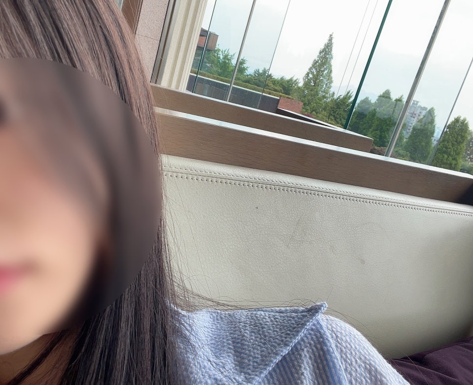 스테이하시니 이미지