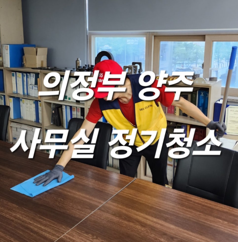 돌핀크린 이미지