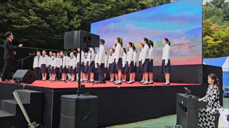 제13회 대방동 용마축제 이미지