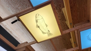 회춘식당 이미지