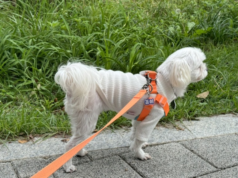 꽁이옷장 이미지