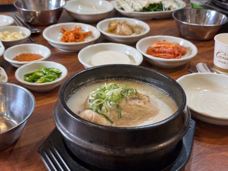 장수오리 이미지