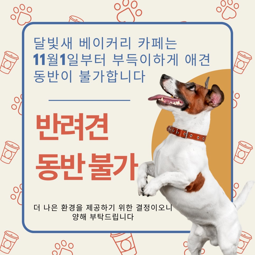 카페11월 이미지