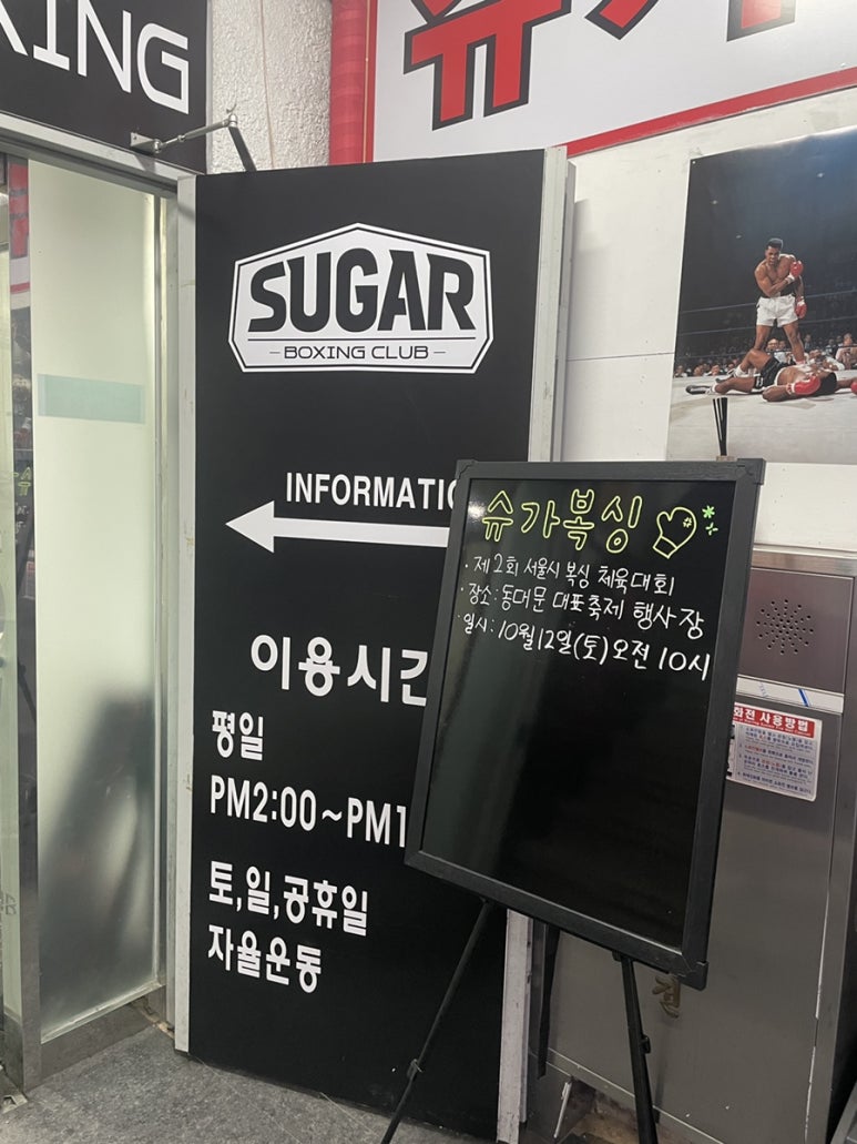슈가복싱 이미지