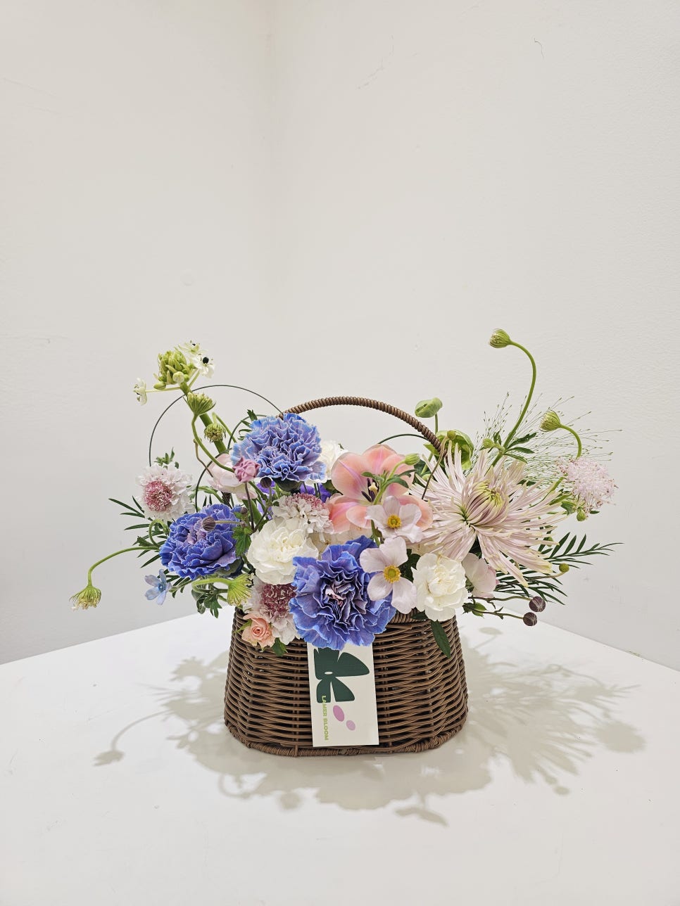 라메르블룸 이미지