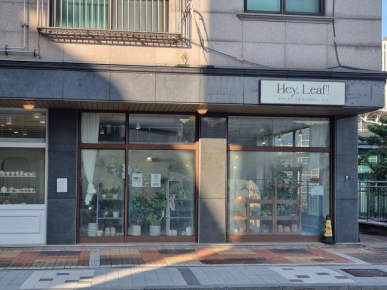 헤이리프 이미지