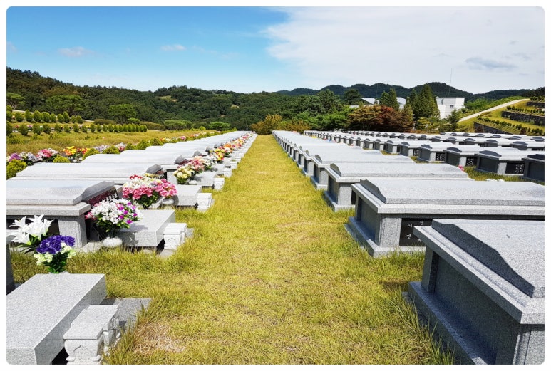 해제장의사 이미지