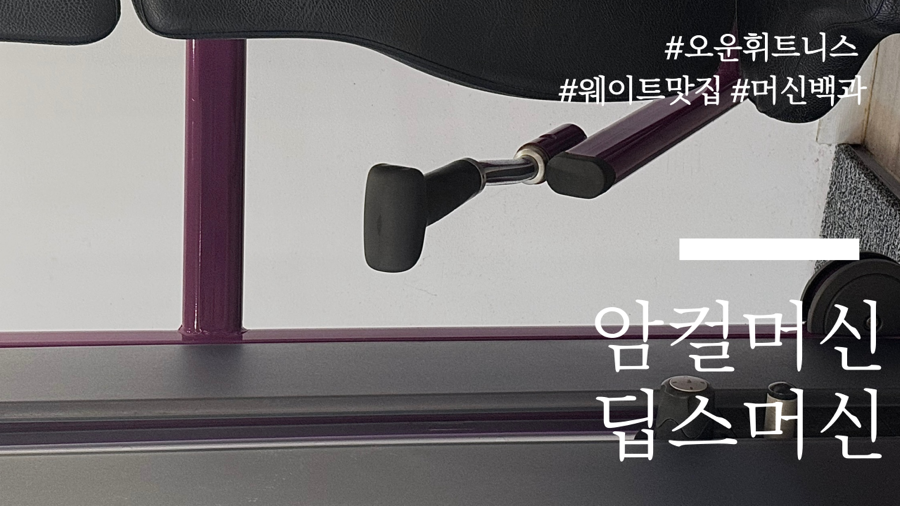 오운휘트니스 이미지