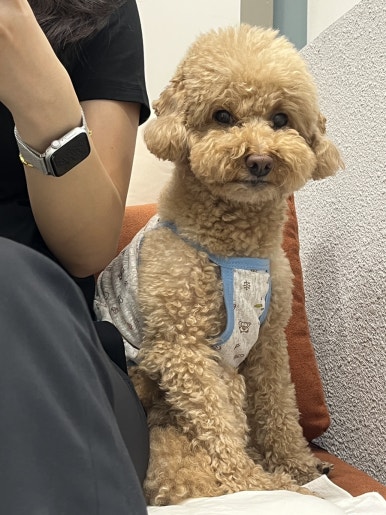 네일트리 이미지