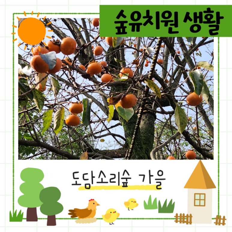 도담소리숲유치원 이미지