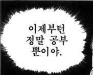 시흥탑애견미용학원 이미지