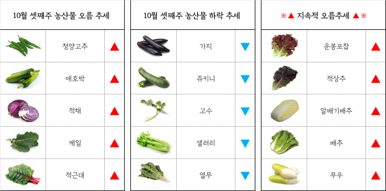 부산유통 이미지