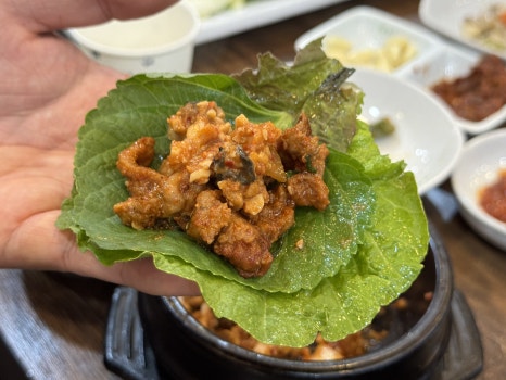 웰빙백세시대 이미지