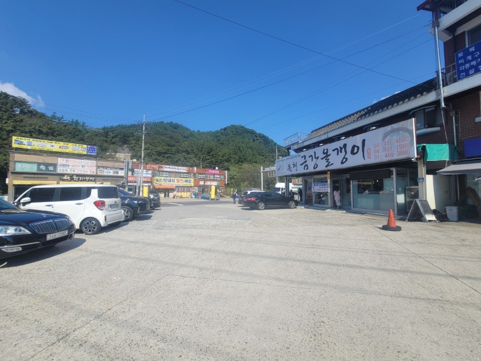금강올갱이 이미지