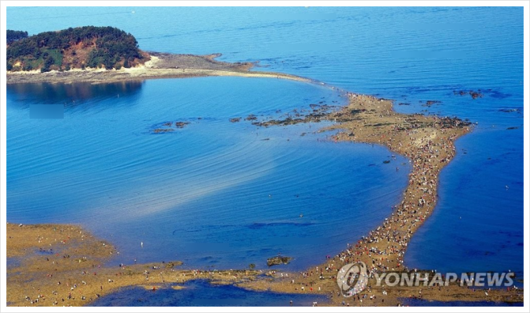 신비한먹거리 이미지