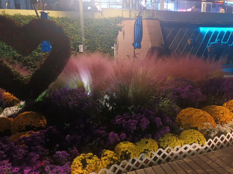 별빛족발 이미지