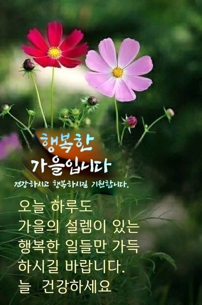 에이스환경 이미지