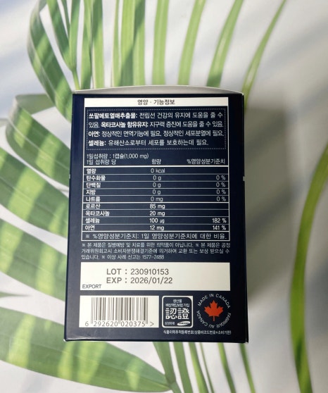 쩜마케팅 이미지