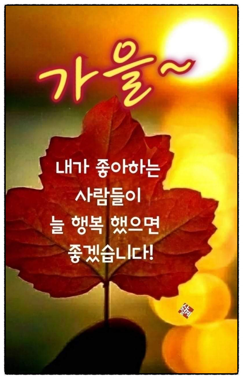 눈이보배 이미지