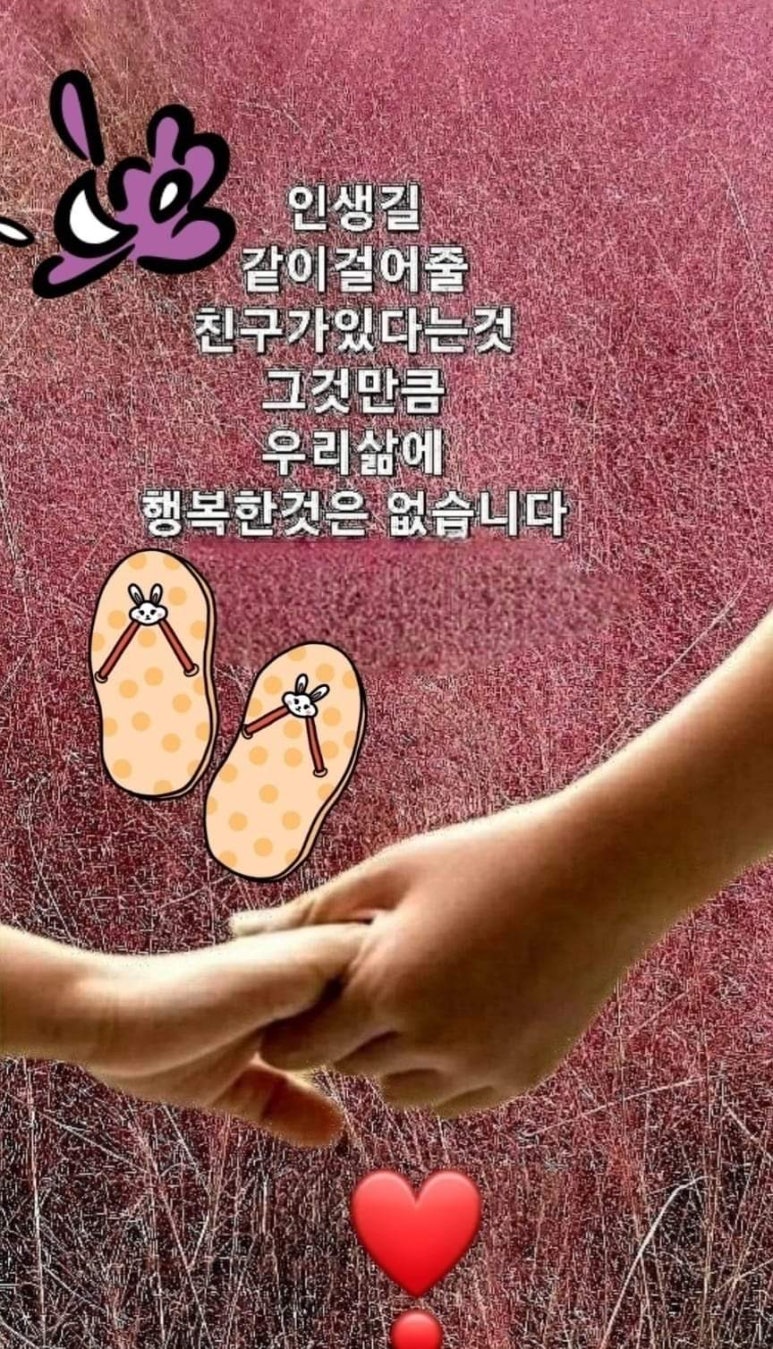 신정노을 이미지