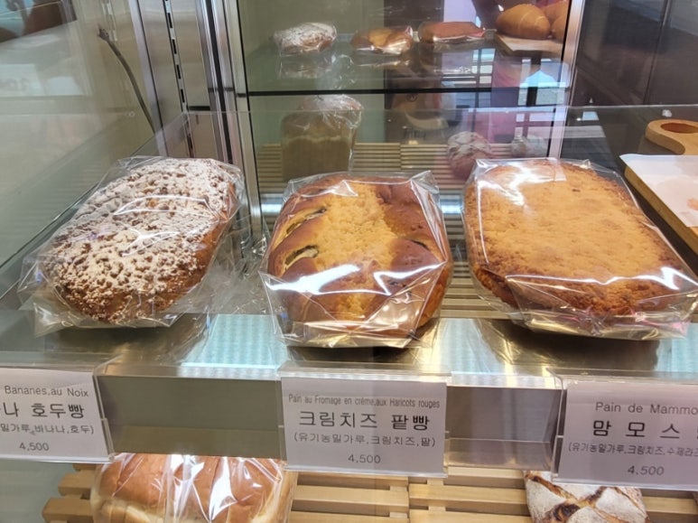 파린두스 이미지