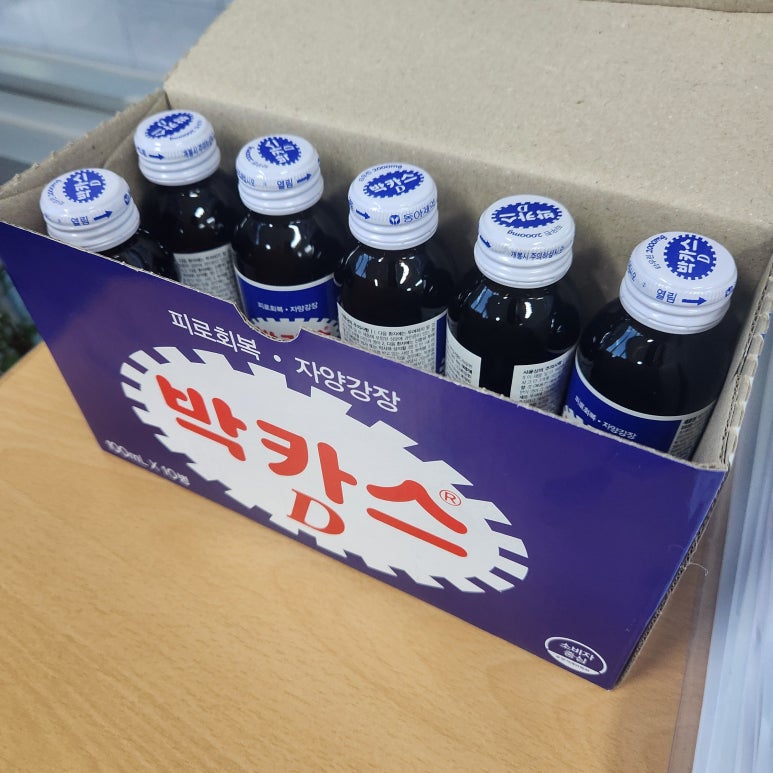 민들레여행사 이미지