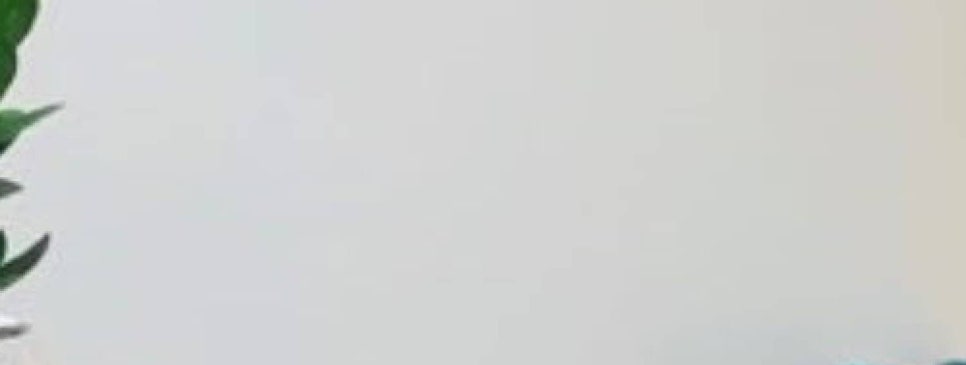 더비채 이미지