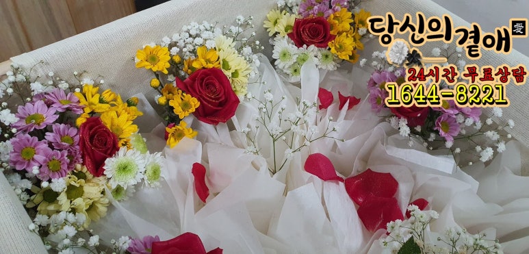곁애 이미지
