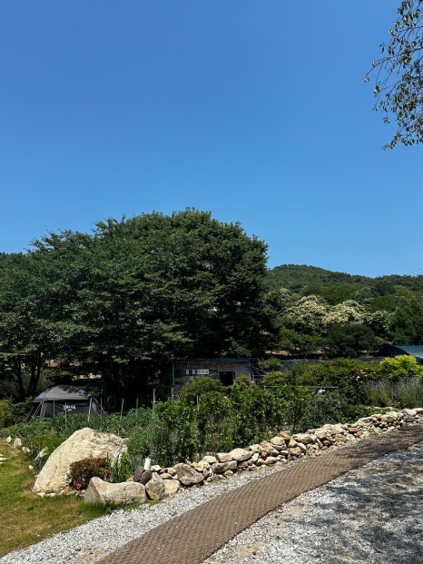 고려산 힐링캠프 이미지