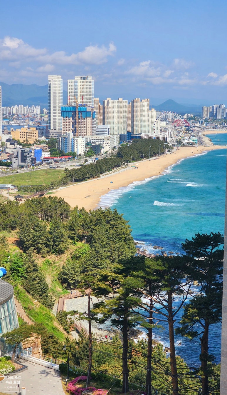 속양고 이미지