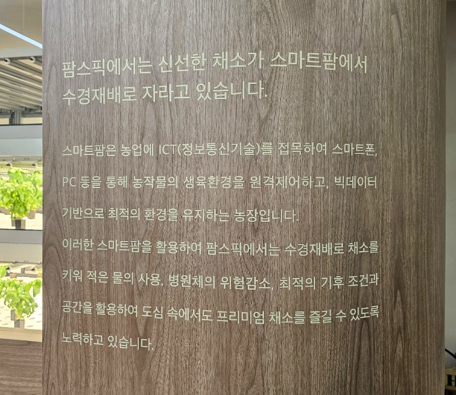 팜스픽 이미지