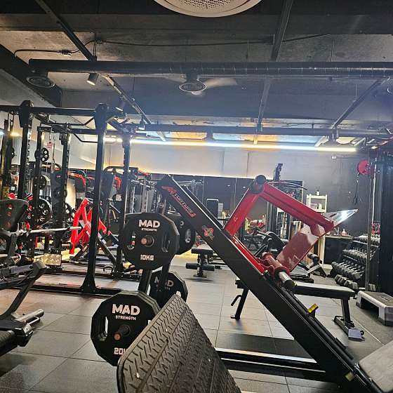 머슬엑스짐 이미지
