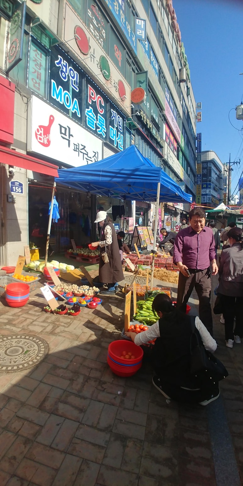 과일야채싸게파는집 이미지