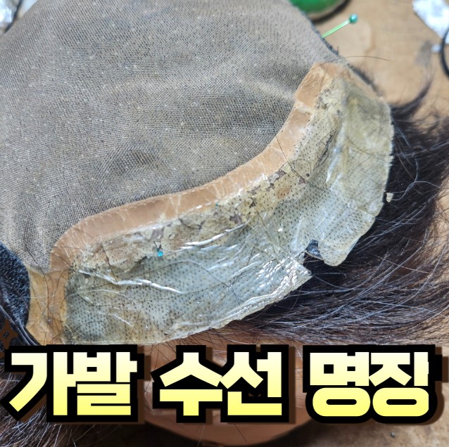 수선의집 이미지