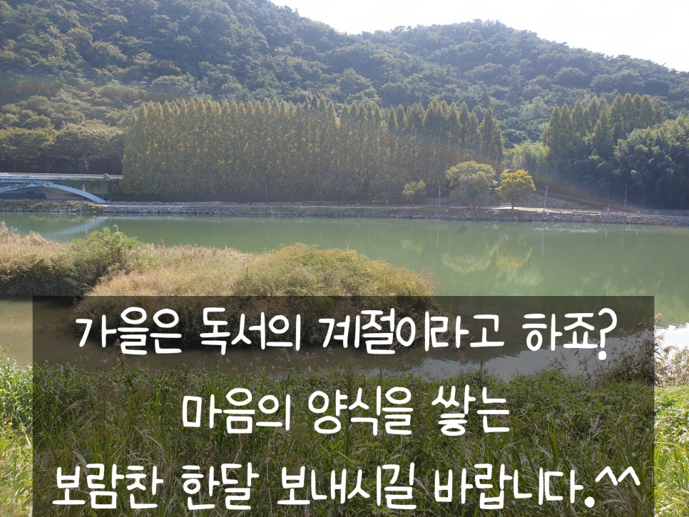 행복한잉어 이미지