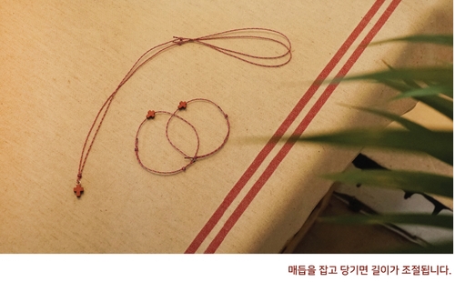 오색인견 이미지
