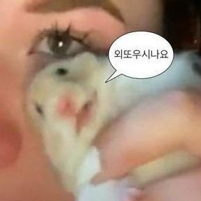 방콕타이 이미지
