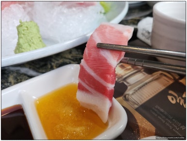 올참치 이미지