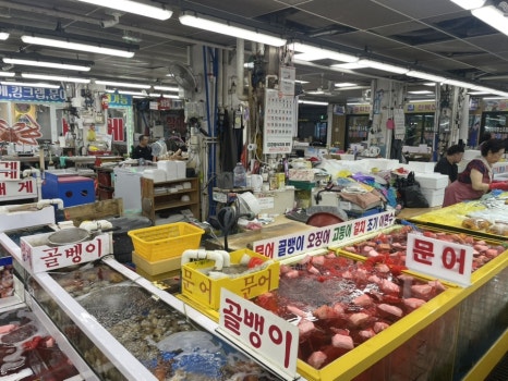 조이풀패밀리 이미지