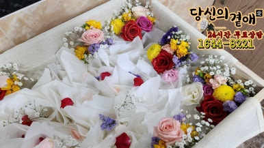 곁애 이미지