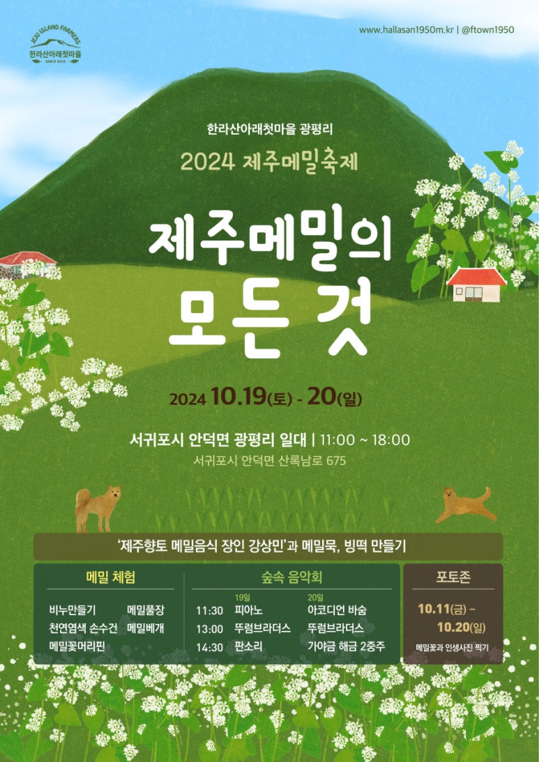 메밀로 사진 6