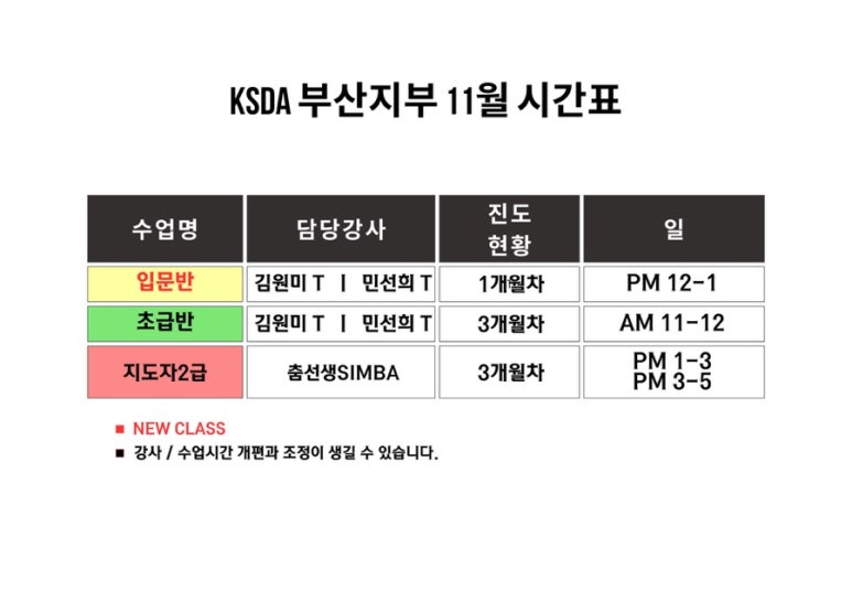 한국셔플댄스협회 이미지