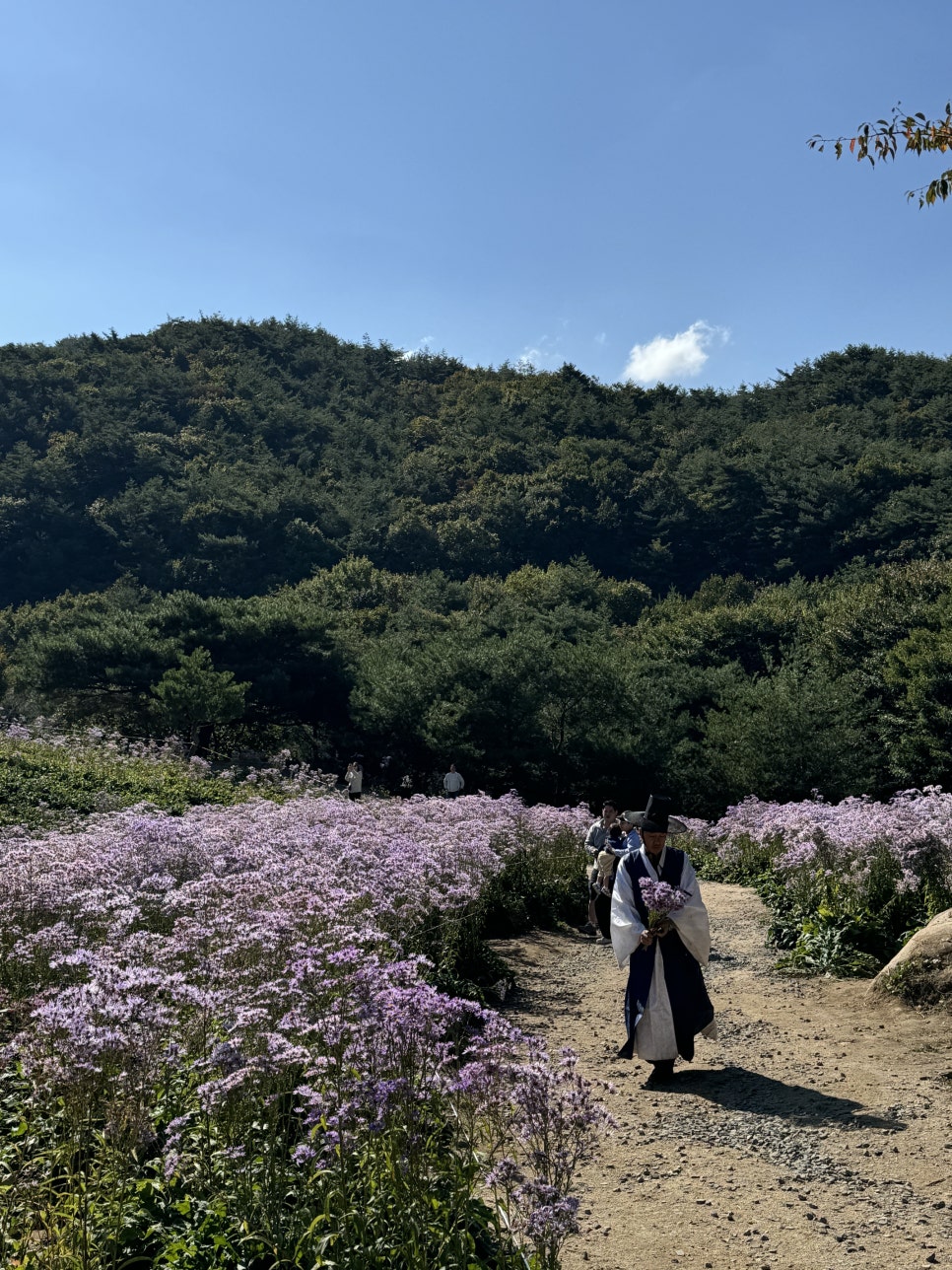 문희꽃밭 이미지
