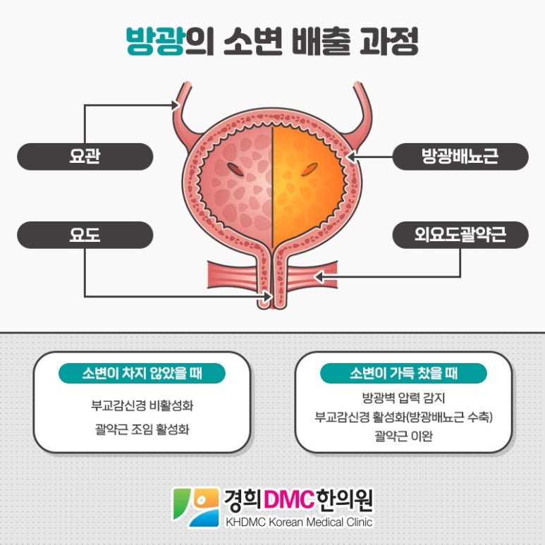 경희DMC한의원 이미지