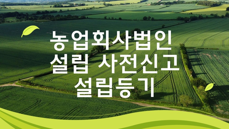 농업회사법인자연과사람 이미지