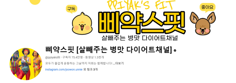 삐약스핏 이미지
