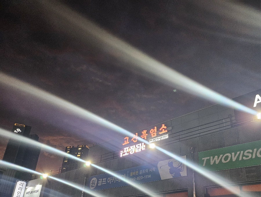 고산흑염소 이미지