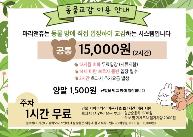마리앤쥬 이미지